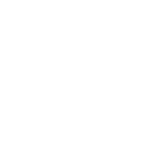 Fightie logo